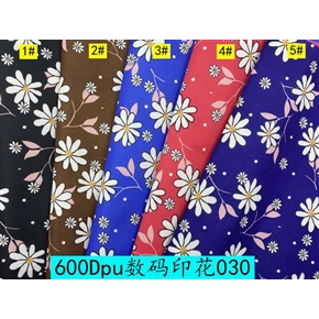 600DPU数码印花