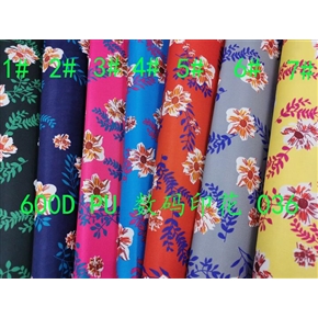 600DPU数码印花
