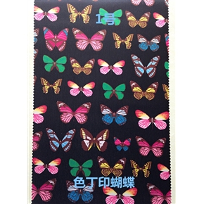 色丁印蝴蝶