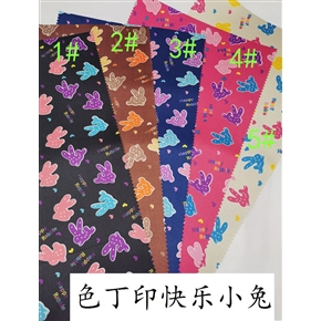 色丁印快乐小兔